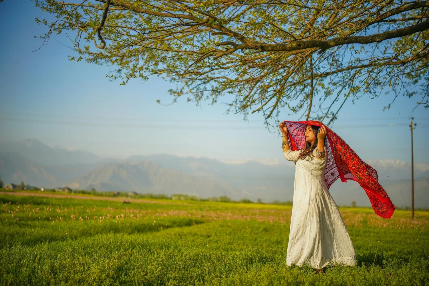 A woman in a flowing white dress holds a red scarf billowing in the wind under a tree in a green field.
