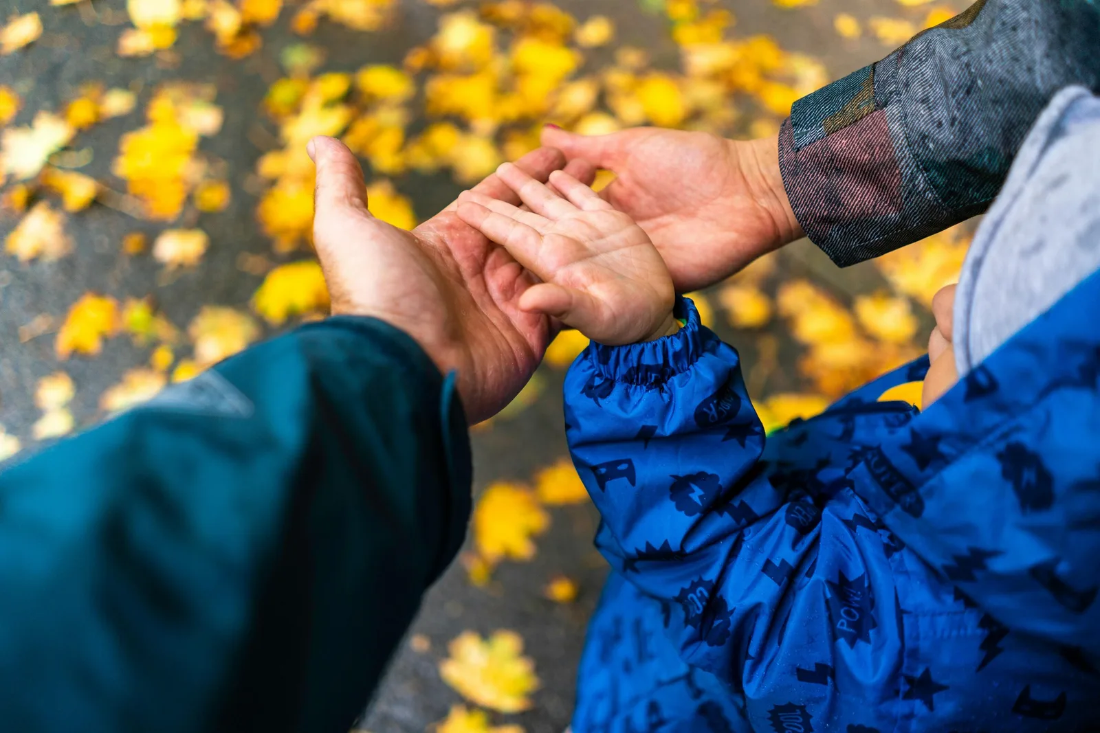 An adult in a teal rain jacket holds hands with a child in a blue rain jacket, over a background of fallen autumn leaves.