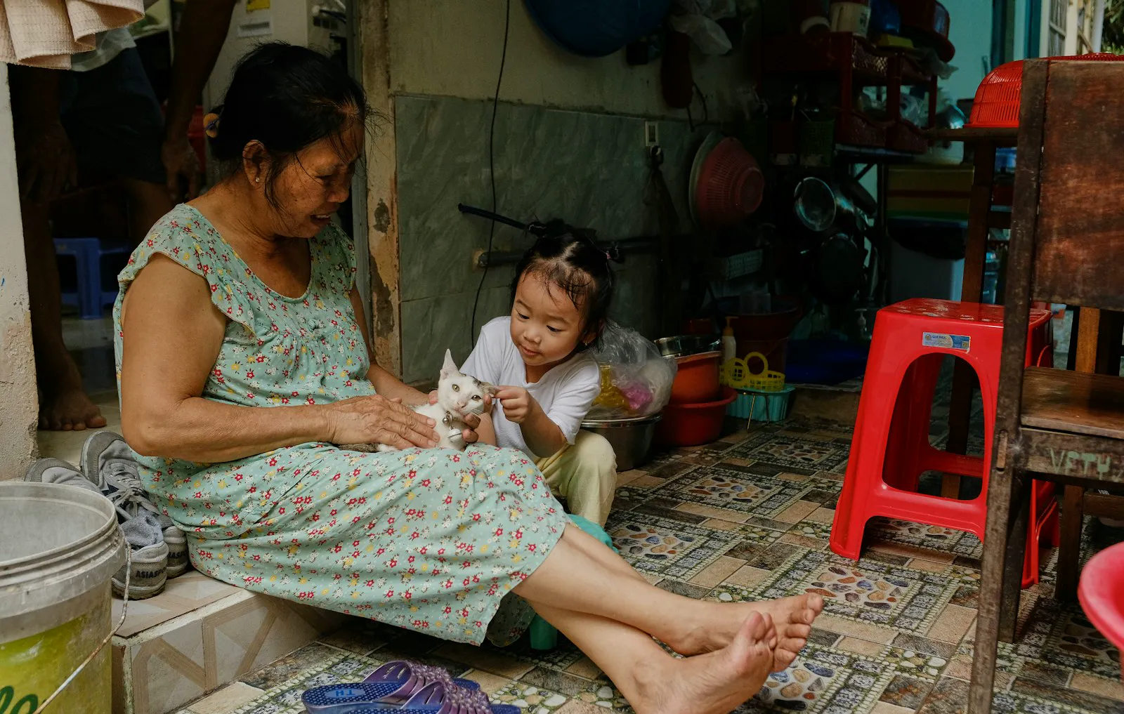 A grandmother and her granddaughter sit together petting a small white kitten at home.